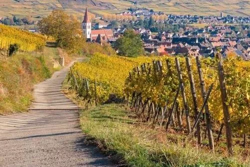 paysage sud Alsace