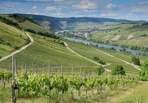 Centre Alsace